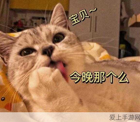 碧蓝航线深度攻略，高效恢复舰娘心情值，打造最强舰队秘籍