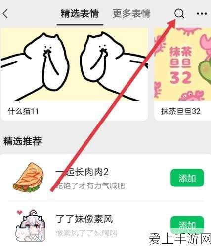 纸嫁衣3深度攻略，揭秘龟壳谜题，轻松解锁全新章节