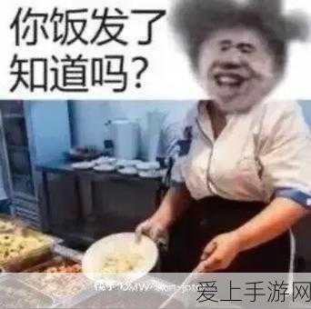 梦幻西游看戏难度全揭秘，123456关卡挑战与策略深度剖析