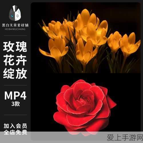 幻塔手游密码锁全攻略，解锁所有秘密的最新密码汇总