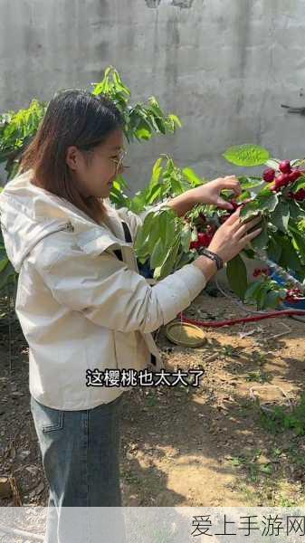 NIKKE 胜利女神测试结束时间全知道，精彩细节抢先看！