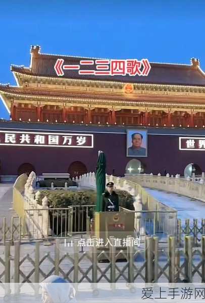 摩尔庄园手游，解锁奇异果食材秘籍，打造专属美食大赛攻略