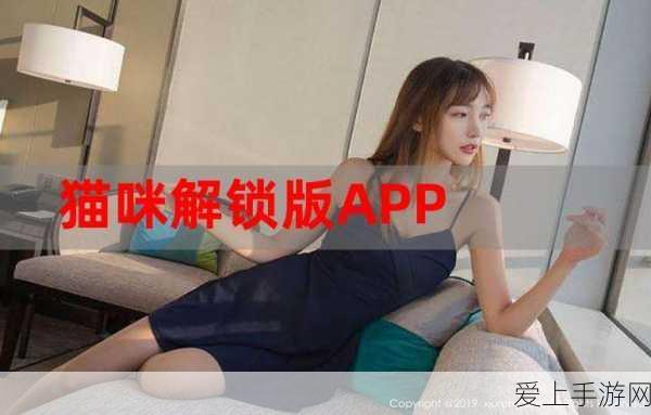饥荒联机版中文问号难题攻克指南，畅享无障碍游戏新体验