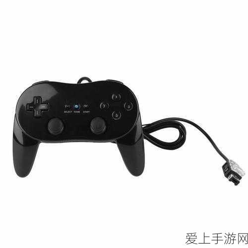 饥荒联机版中文问号难题攻克指南，畅享无障碍游戏新体验