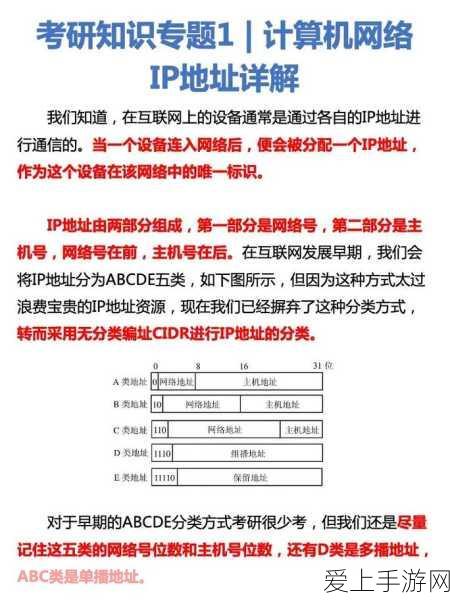 金铲铲之战S8深度攻略，揭秘爆杀流岩雀的极限制胜之道