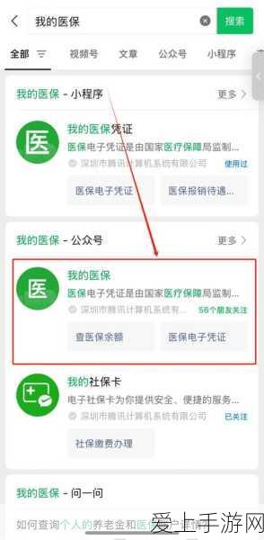 深度解析，天天狼人杀白狼王角色攻略与实战技巧