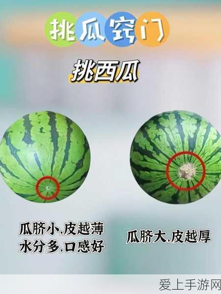 高颜值游戏利器！华硕a豆14Air成年货节AIPC首选