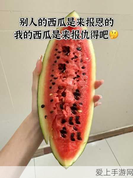 天谕手游顶尖攻略，SSR辅助英灵高效培养全解析