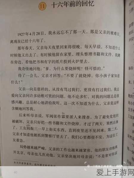魔兽世界声望坐骑大揭秘，价值非凡的坐骑获取指南