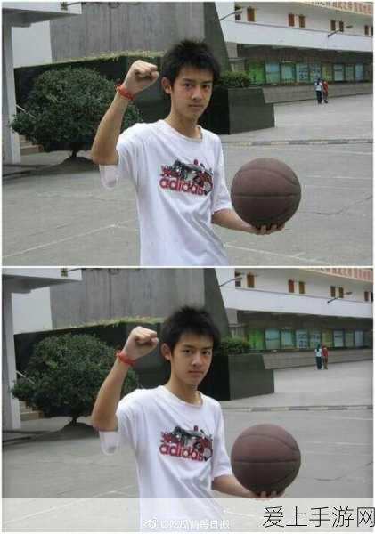 闪亮新宠！以闪亮之名宠物领养系统深度揭秘及趣味比赛详解