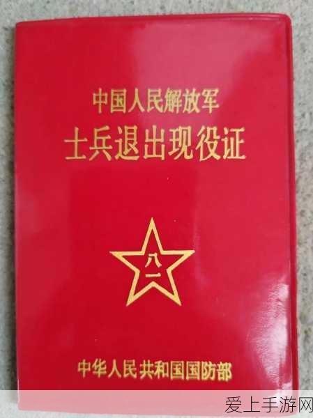 鸣潮手游深度攻略，揭秘猎取残像之人任务全解析