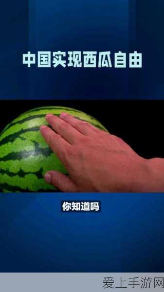 火影忍者手游，全面解析结印系统，挑战极限忍术对决！