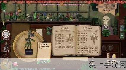 DNF手游韩服深渊开启攻略，解锁神秘宝藏，征服深渊领主