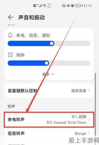 原神洗刷耻辱一战，详尽攻略与任务揭秘