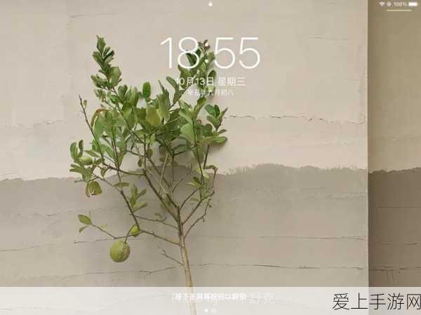 使命召唤手游削弱情报大揭秘，掌握最新调整，制胜战场！