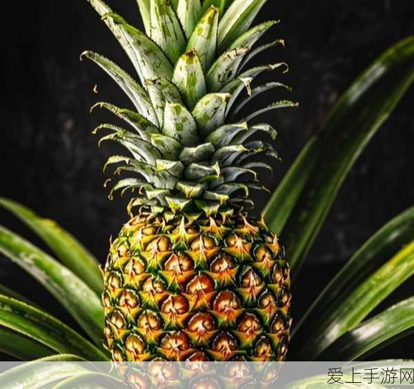 和平精英喷子大比拼，揭秘哪款霰弹枪威力最震撼？