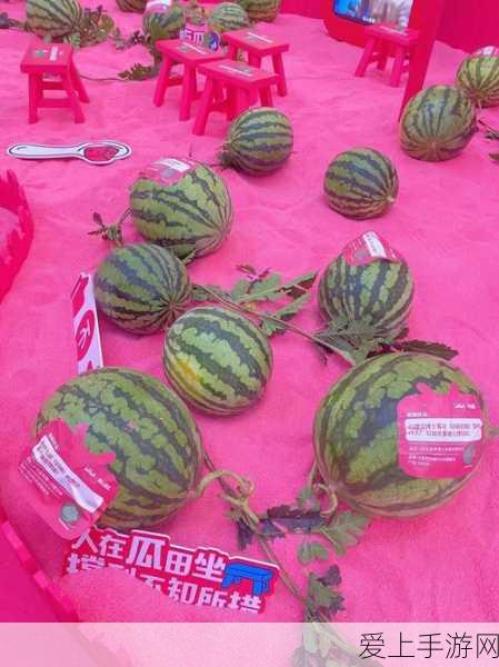 摩尔庄园手游，钓鱼大赛夺冠秘籍，解锁珍稀鱼类全攻略