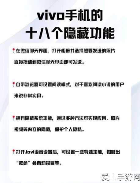 时空中的绘旅人司岚图鉴详解，解锁角色魅力，探索时空之旅