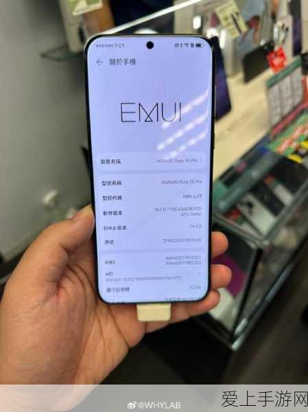 保卫萝卜 4 阿波画室通关秘籍大揭秘