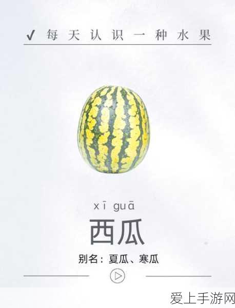 摩尔庄园，酷拽兔子包获取秘籍大揭秘
