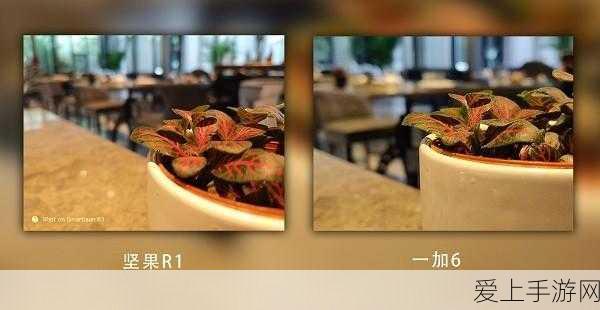 手游界新宠！亲测最超值的手游外设推荐，电动牙刷版游戏手柄？