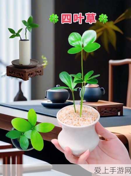 独家揭秘！无悔华夏中白起的神秘获取之道