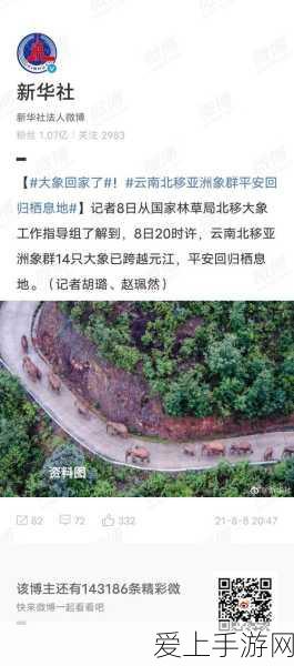 和平精英画面设置全攻略，打造你的专属战场视觉盛宴