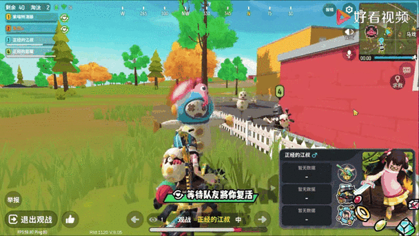 宝可梦大集结，货币系统全解析与致胜秘诀