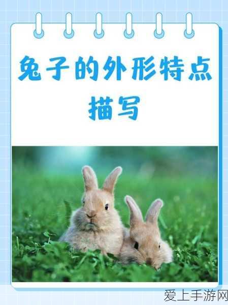 保卫萝卜4喜乐月饼节攻略揭秘，第一关策略布局与高效通关秘籍