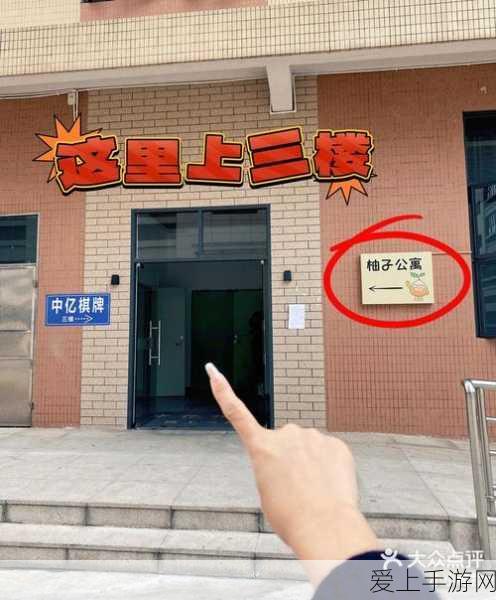 手游弹力果冻，揭秘血型系统独特效果，打造个性化战斗体验