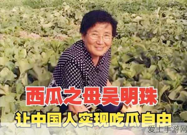 开心消消乐全关卡揭秘，挑战无极限，欢乐不停歇！