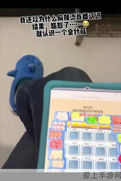 江南百景图深度攻略，苏州府解锁全揭秘，打造你的水乡梦