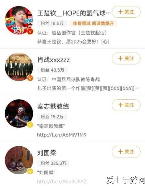 流星蝴蝶剑，轻松关闭组队语音的秘诀大公开
