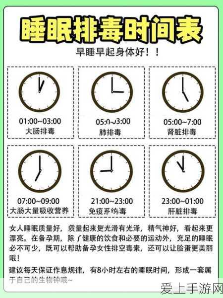 崩坏星穹铁道，寰宇蝗灾回响机制全揭秘，命途与回响深度剖析