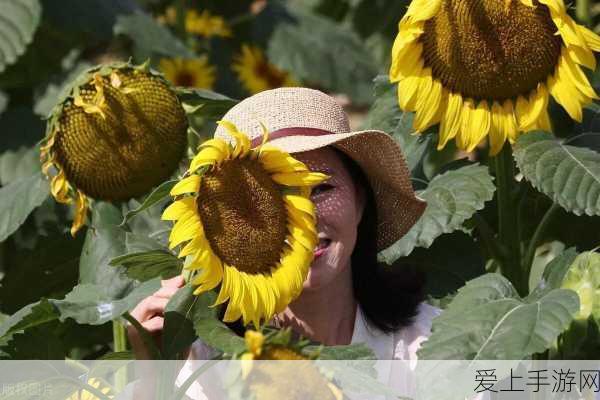 堡垒之夜点金手任务全攻略，解锁步骤、实战技巧与隐藏奖励揭秘