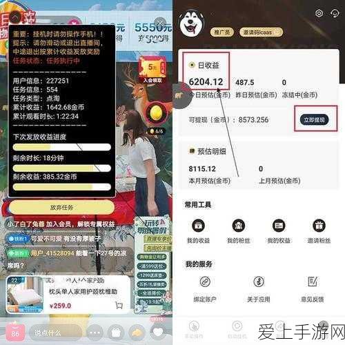 熊猫崽崽大搜捕，全面揭秘捉妖位置与捕捉技巧