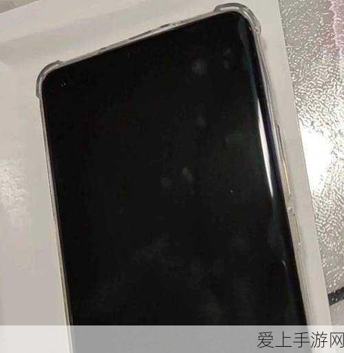 原神夏沃蕾角色深度解析，天赋突破材料全揭秘