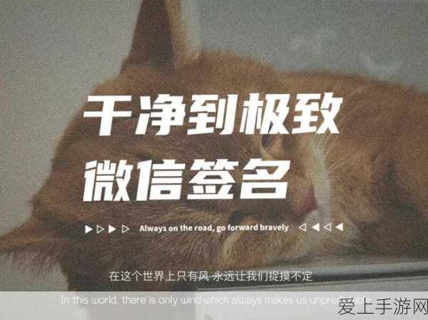 摩尔庄园手游，揭秘传说鱼与美人鱼出没的神秘地点