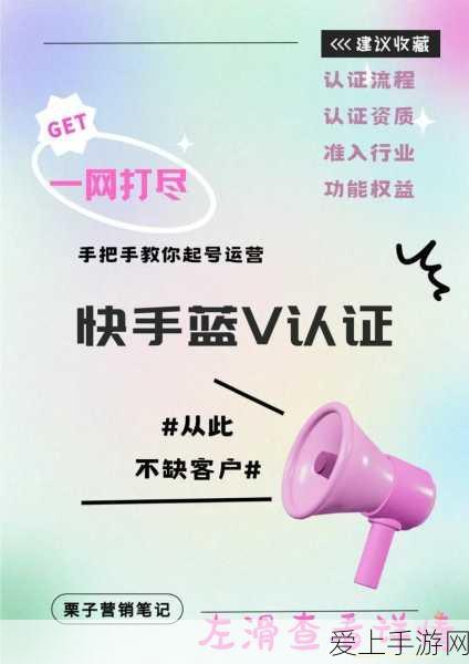 哈利波特，魔法觉醒深度探索——揭秘厨房入口与奇妙玩法