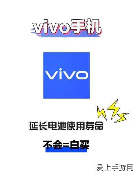 崩坏星穹铁道珍稀材料大揭秘，永寿天华高效获取秘籍及实战攻略