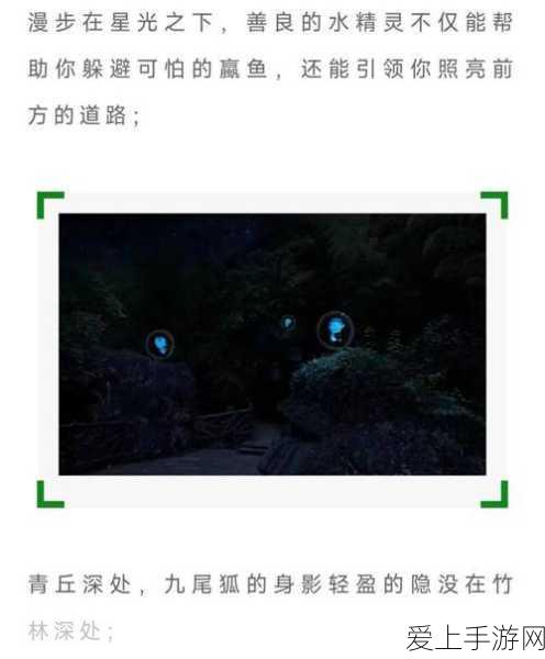 倩女幽魂深度攻略，出家任务全解析，揭秘隐藏剧情与豪华奖励
