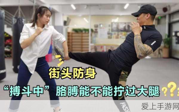 手游硬件揭秘，稳压二极管型号识别与工作原理，助力游戏设备性能优化