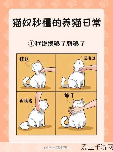 汉字神操作之申字大挑战，20 个字通关秘籍全解析