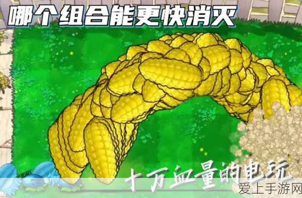 燕云十六声深度攻略，侠迹开封卷二花信风任务全解析