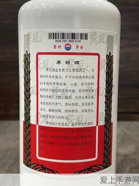 地下城与勇士，男元素师与纳祖芒荣耀加点攻略，解锁战斗新境界