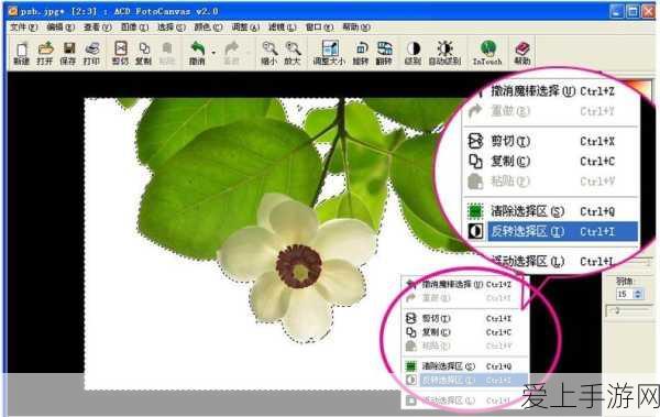 火影忍者手游，决斗场保护机制深度揭秘与实战技巧
