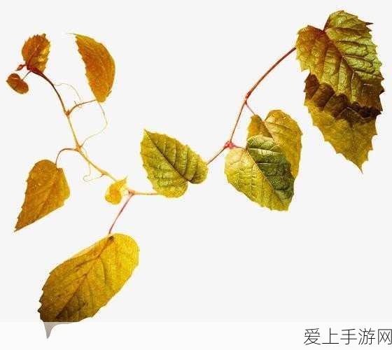 剑侠世界五行争锋赛，属性克制深度解析与实战策略