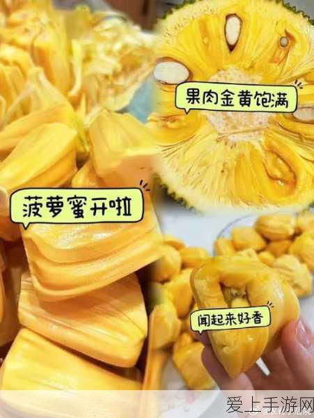 零号任务莫比乌斯深度攻略，解锁角色玩法与实战技巧