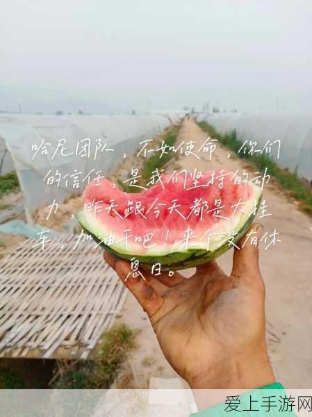 零号任务莫比乌斯深度攻略，解锁角色玩法与实战技巧
