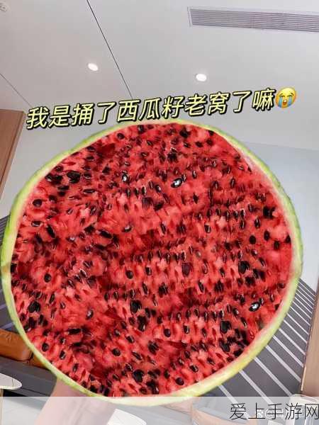 荣耀全明星，战地蔷薇技能加点秘籍全解析